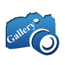 Picture Gallery